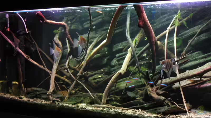 03.05.2016 fast keine Veränderungen . . . 03.05.2016 fast keine Veränderungen . . .