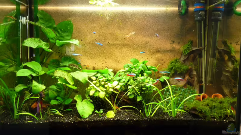 03.10.2012 03.10.2012