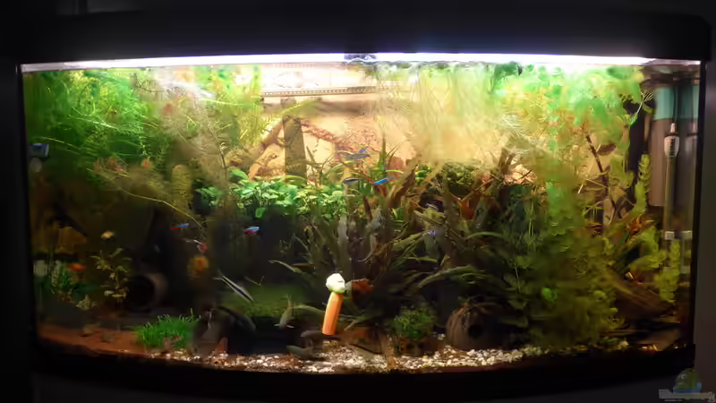 04. Feb 2016 04. Feb 2016