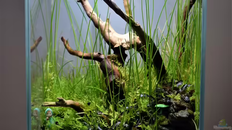 04.04.2022 04.04.2022