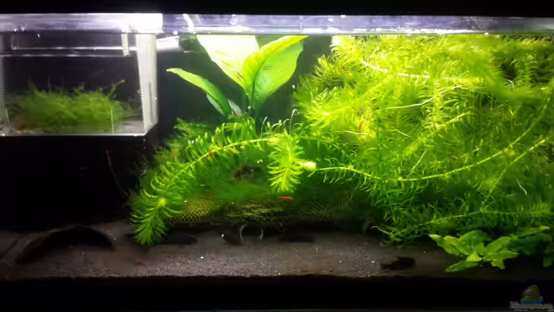 05.01.2017 05.01.2017