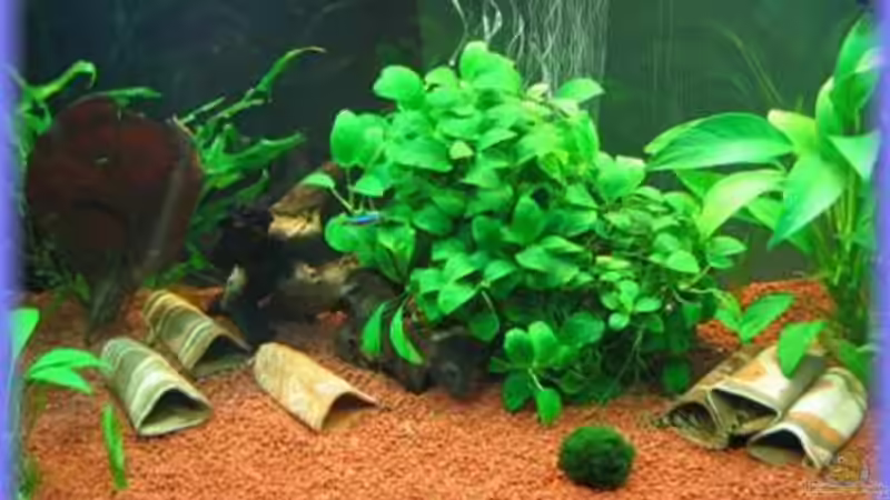 05.06.08 Eingerichtet 05.06.08 Eingerichtet