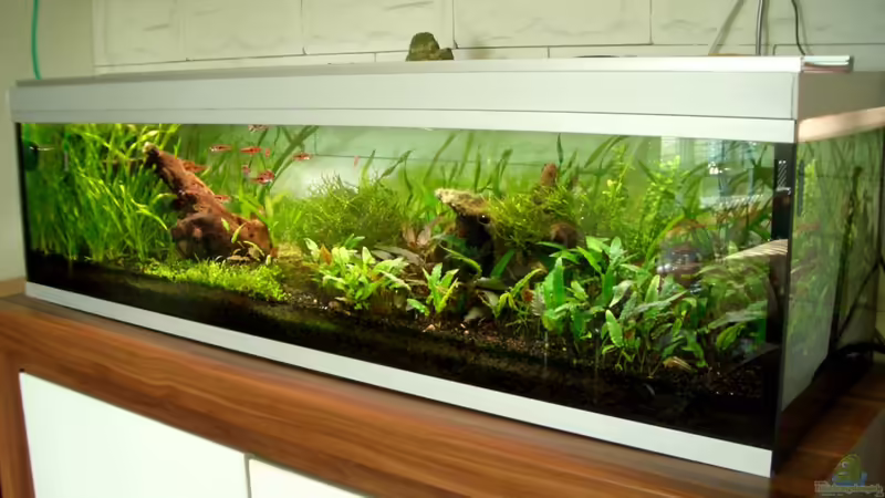 06.02.2011 06.02.2011