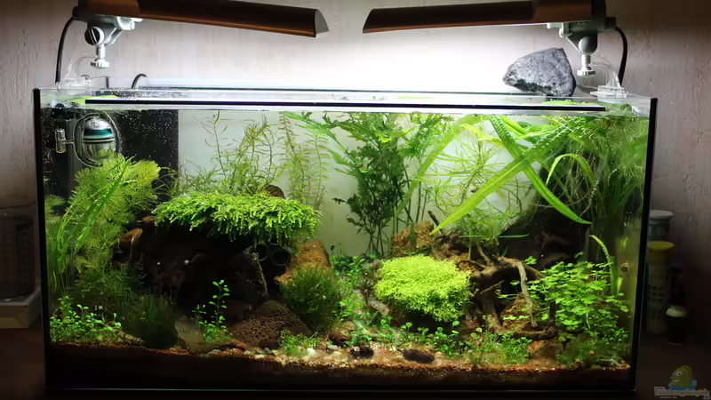 06.04.2015 06.04.2015