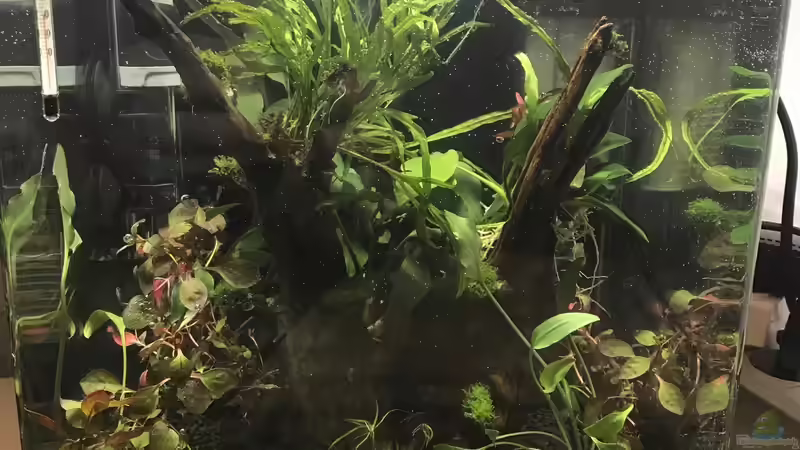 06.12.2019 06.12.2019