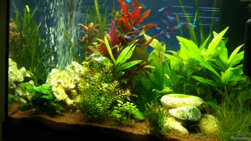 08.04.2012 08.04.2012