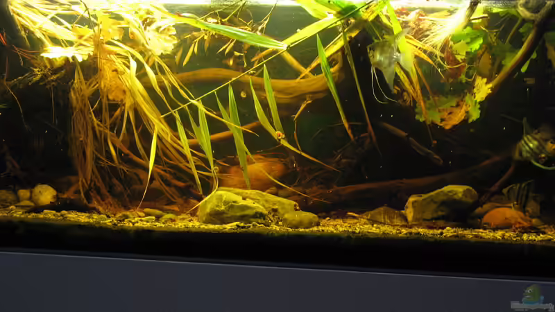 09.10.2017 09.10.2017