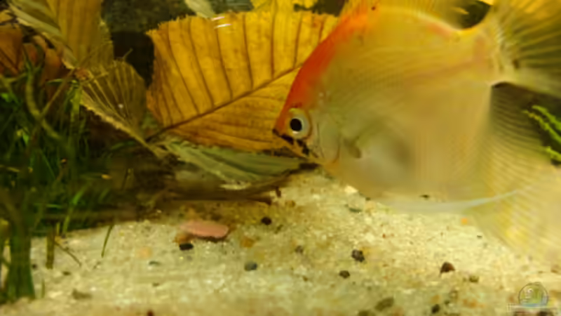 1. Juni 2012 1. Juni 2012