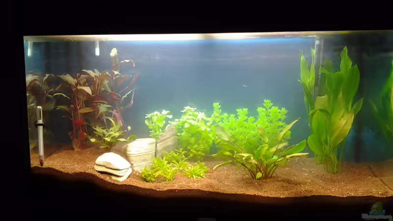 1. Tag nach der Einrichtung 1. Tag nach der Einrichtung