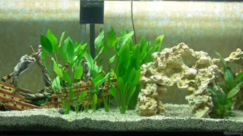 1 Woche nach Befüllung 1 Woche nach Befüllung