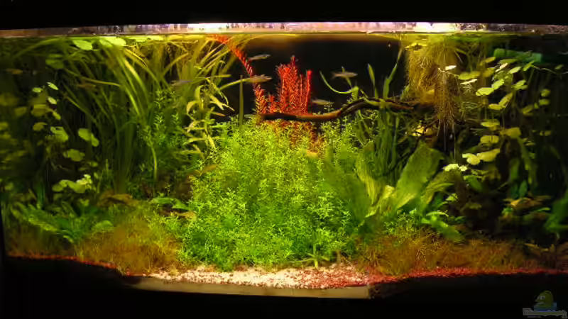 10.01.2006 10.01.2006