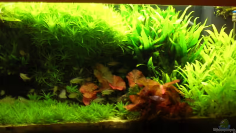 10.02.2009 10.02.2009