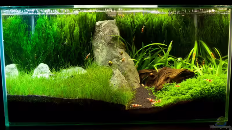 10.02.2011 10.02.2011