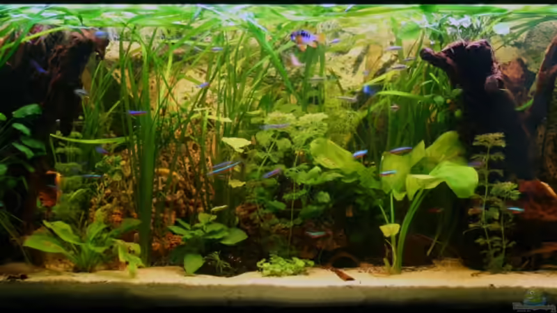 10.05.2010 10.05.2010