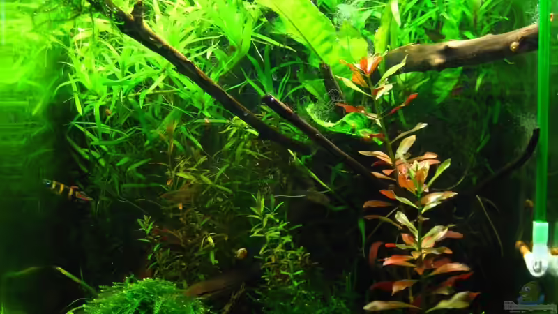 10.06.2014 10.06.2014