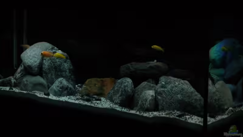 10.12.2013 10.12.2013