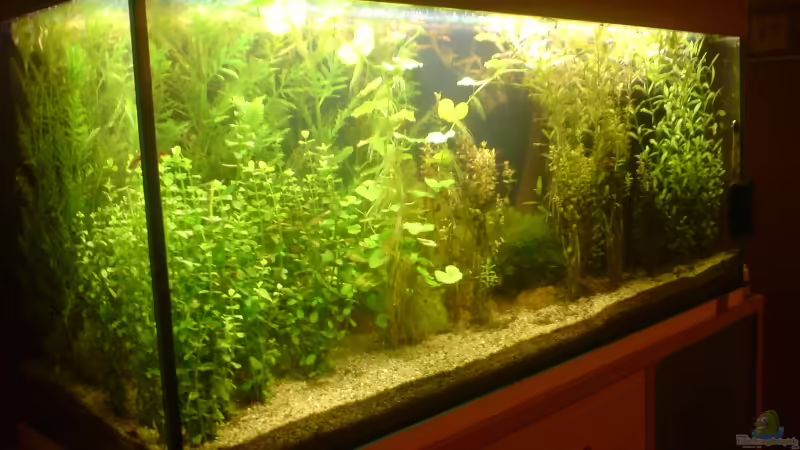 11.3.2011, einen Monat nach der Einrichtung 11.3.2011, einen Monat nach der Einrichtung