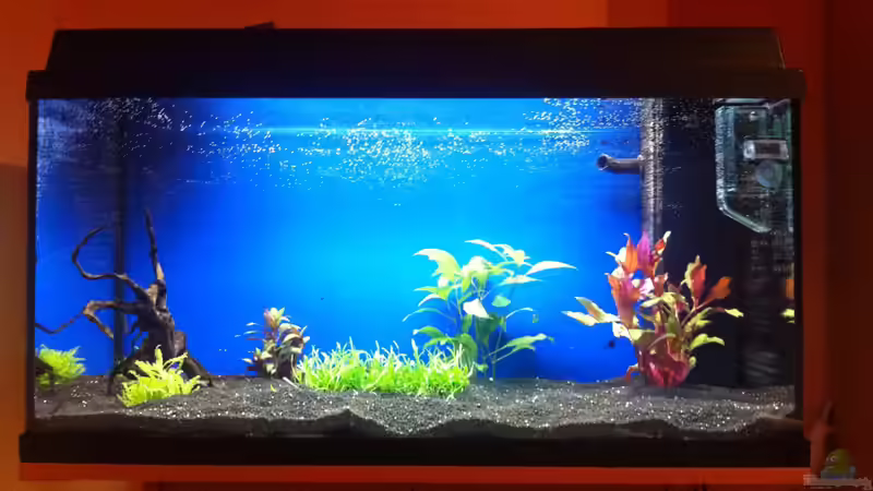 110 l Klassisches Gesellschaftsbecken 110 l Klassisches Gesellschaftsbecken