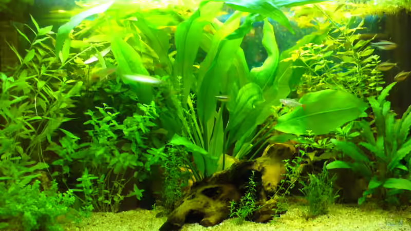 112 Liter Becken 112 Liter Becken