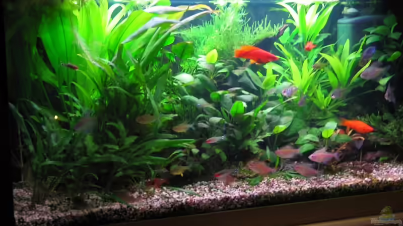 112 Liter Süd- und Mittelamerika 112 Liter Süd- und Mittelamerika