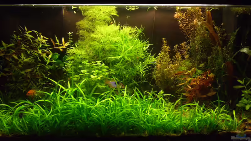 112er im Februar 2010 112er im Februar 2010