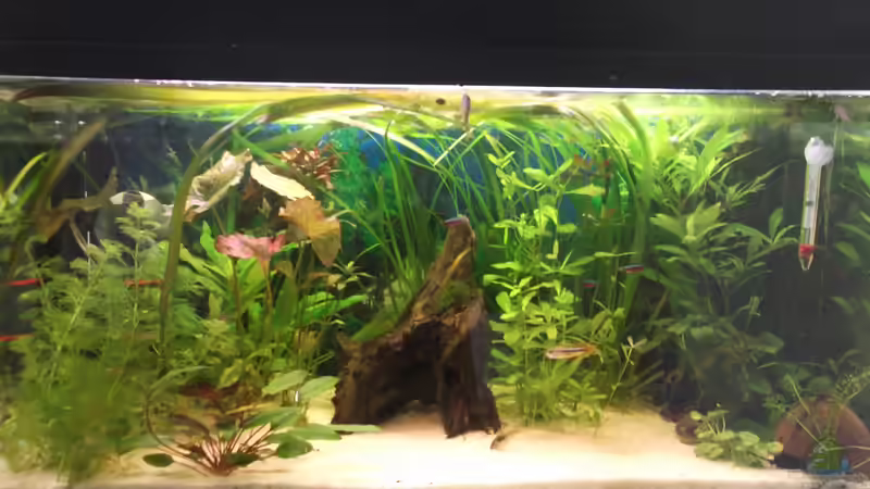 112l Südamerika ;) 112l Südamerika ;)