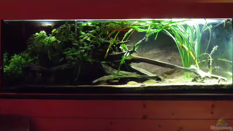 12.01.2018 Gesamtansicht 12.01.2018 Gesamtansicht