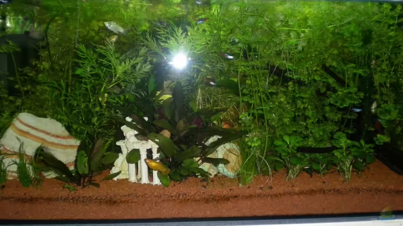 12.08.08 ca. 2,5 Monate 12.08.08 ca. 2,5 Monate