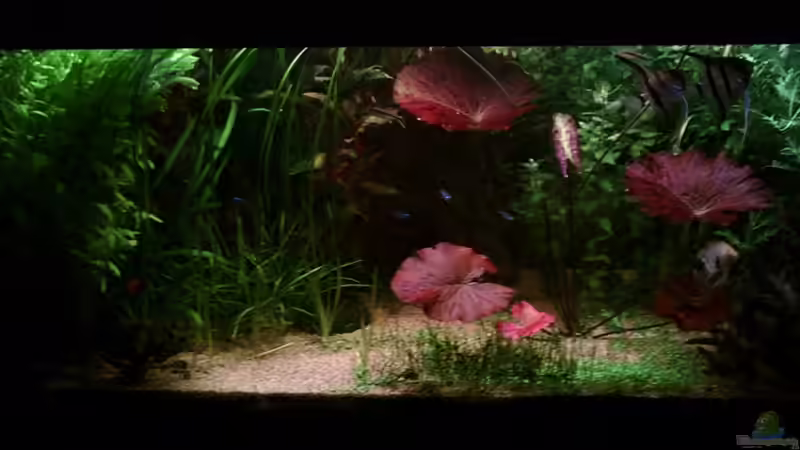 12.Mai 2008 12.Mai 2008