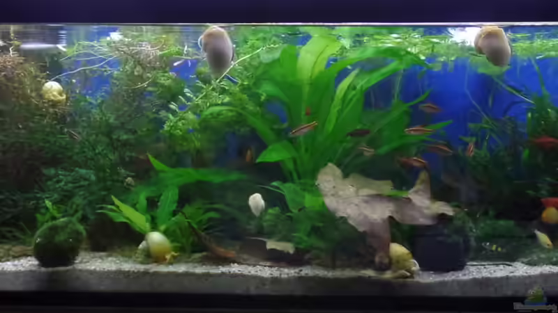 120l in der Küche 120l in der Küche