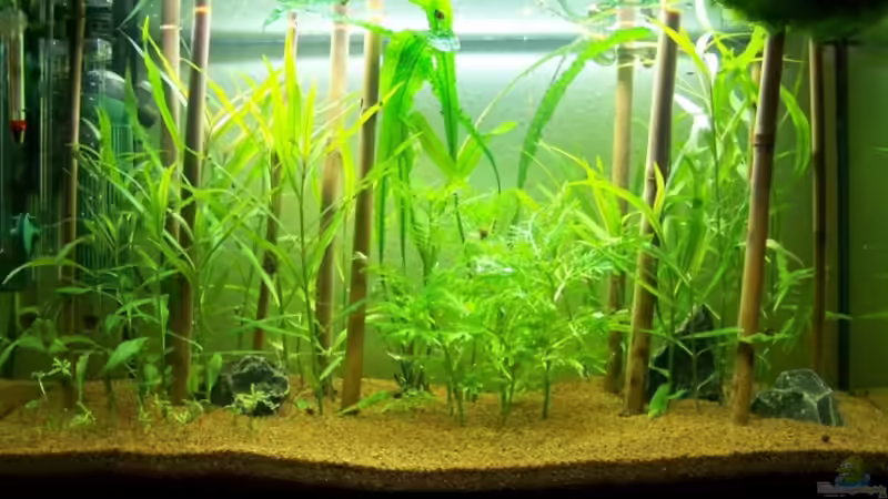 126 Liter Indien (Tag 53) 126 Liter Indien (Tag 53)