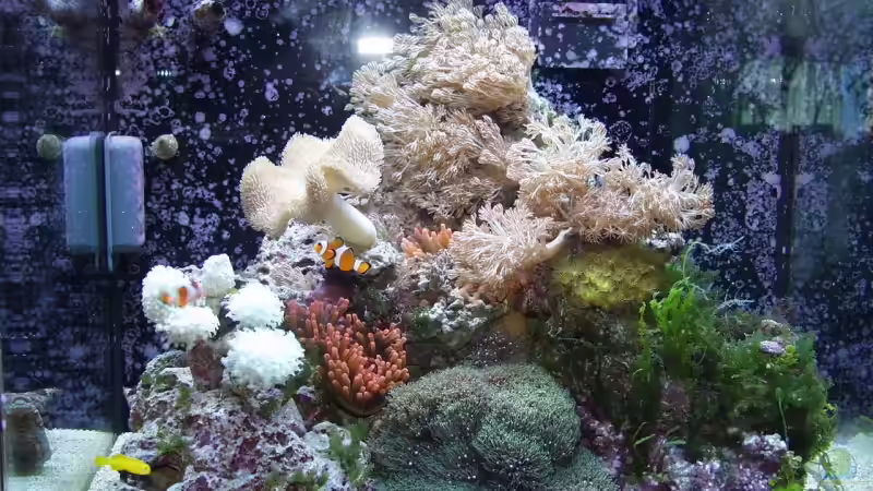 129 l Becken 129 l Becken