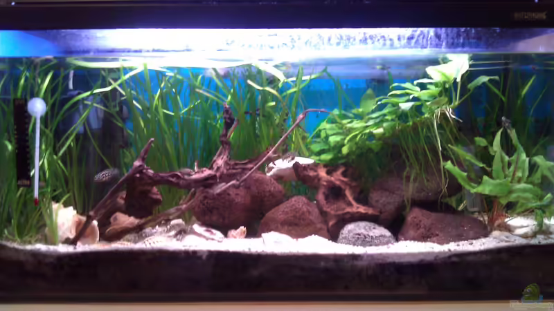 13.05.12 (nach 2 Jahren) 13.05.12 (nach 2 Jahren)