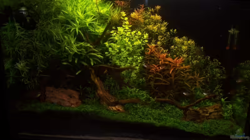 14.05.2010 14.05.2010