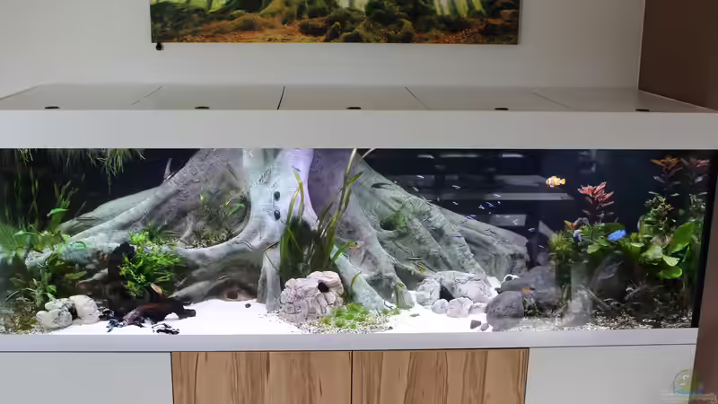 14.10.2016 14.10.2016