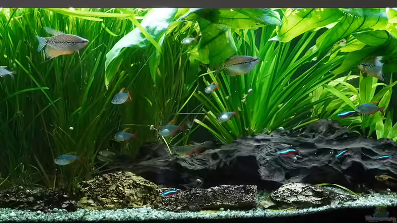 14.10.2023 14.10.2023