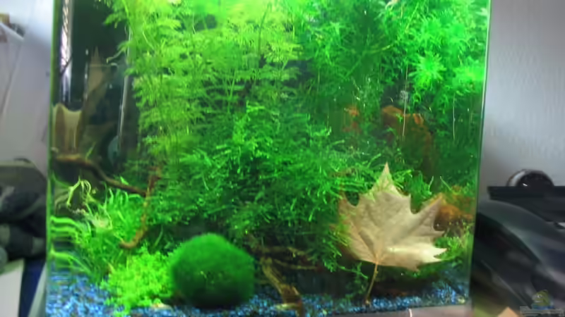 15.02.2008 15.02.2008