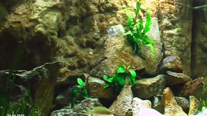 15.04.2010 15.04.2010