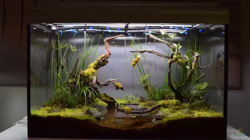 15.08.2018 15.08.2018