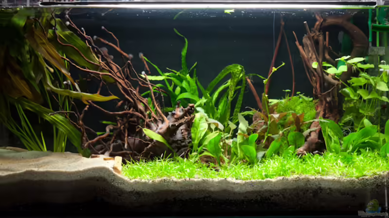 15.11.2009 15.11.2009