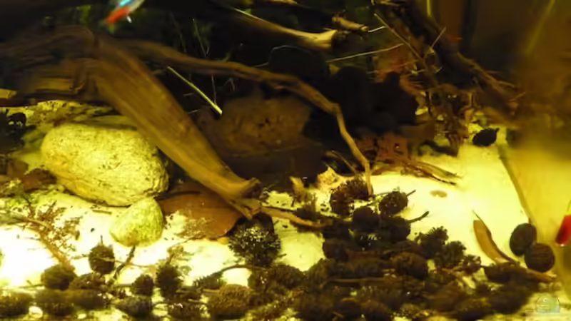 15.11.2011 15.11.2011