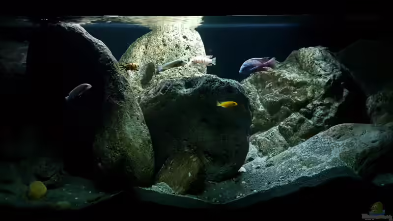 16.01.2020 16.01.2020