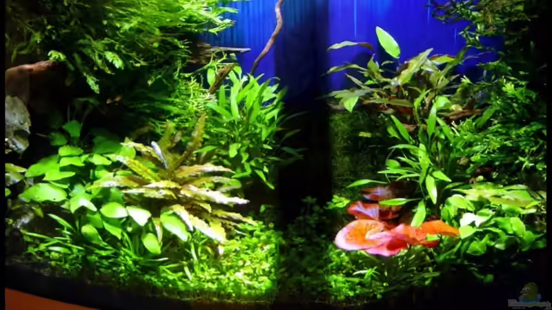 16.06.2006 Frontansicht. 16.06.2006 Frontansicht.