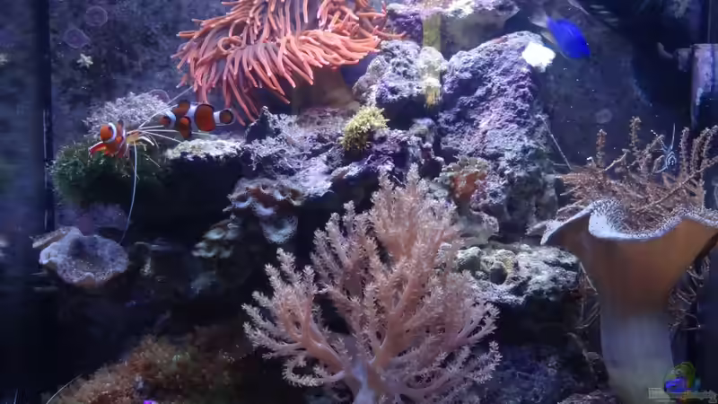 16.07.2012 16.07.2012