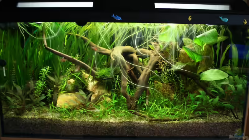 16.10.2012 Front 16.10.2012 Front