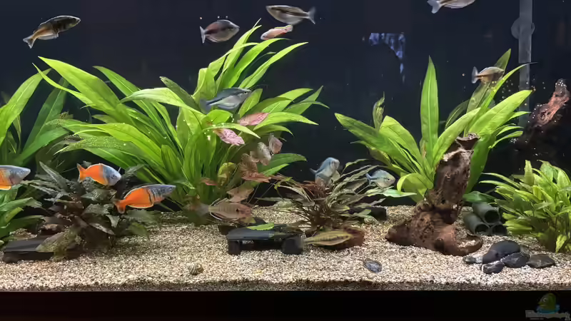 16.12.2025 Hauptbild 16.12.2025 Hauptbild