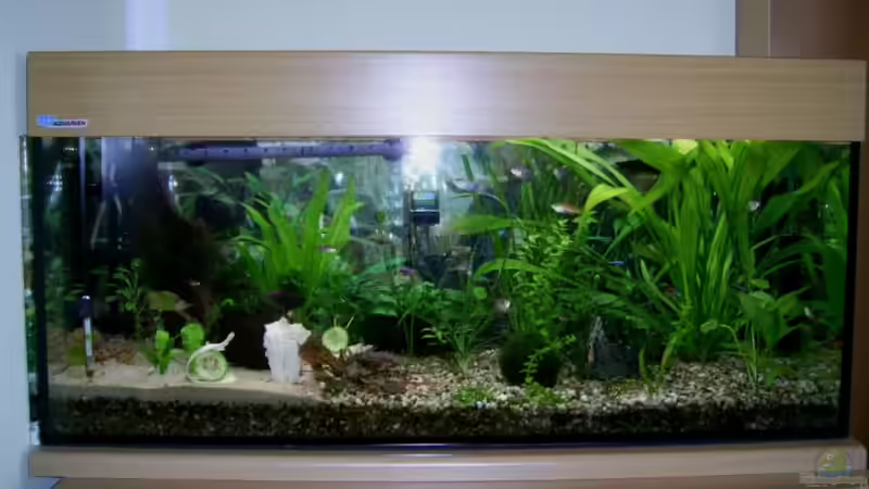 160 Liter Gesellschaftsbecken 160 Liter Gesellschaftsbecken