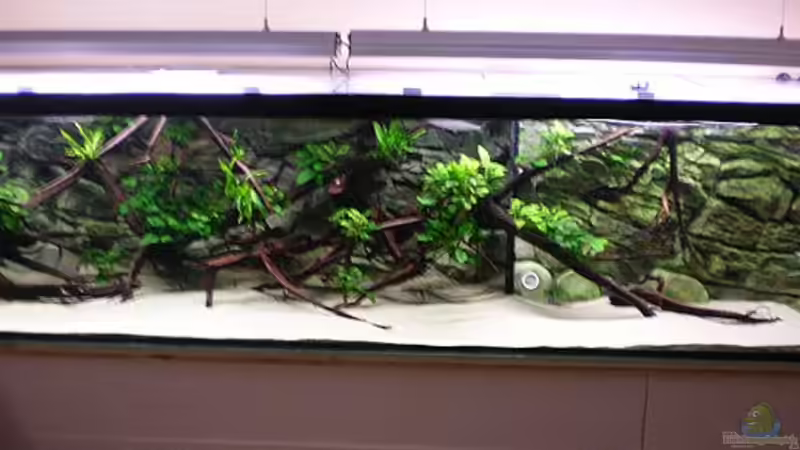 1680 L Südamerika 1680 L Südamerika