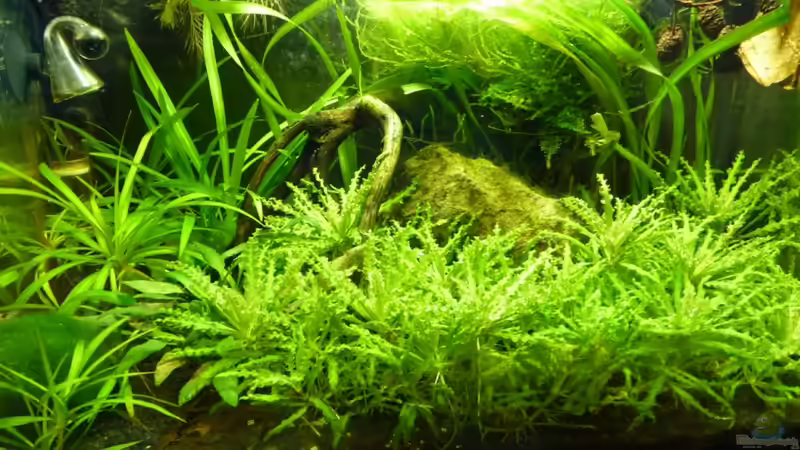 17.02.2010 17.02.2010