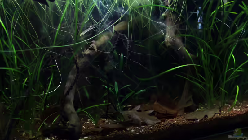 17.04.2013 17.04.2013